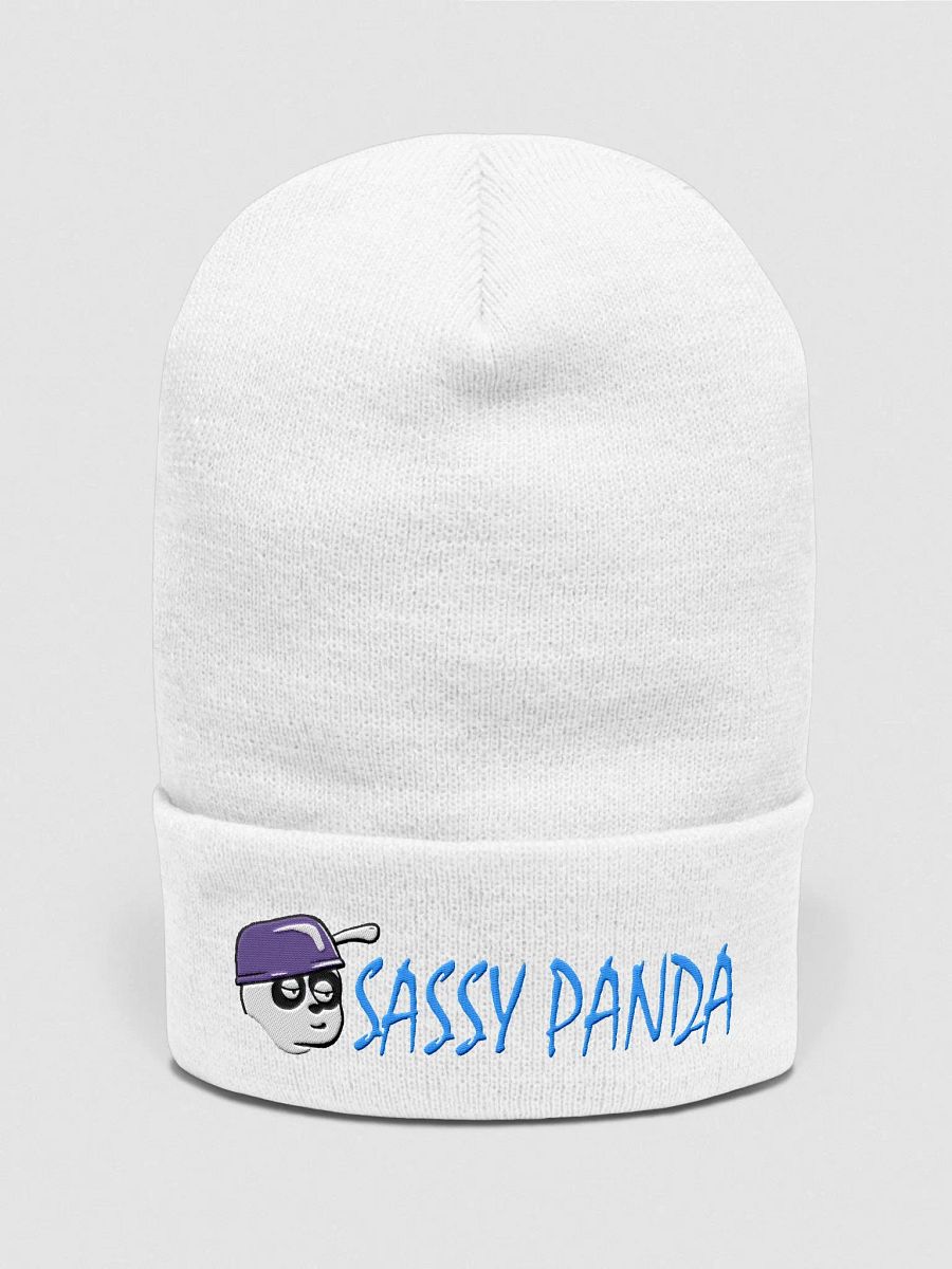Sassy Panda Beanie product image (2)