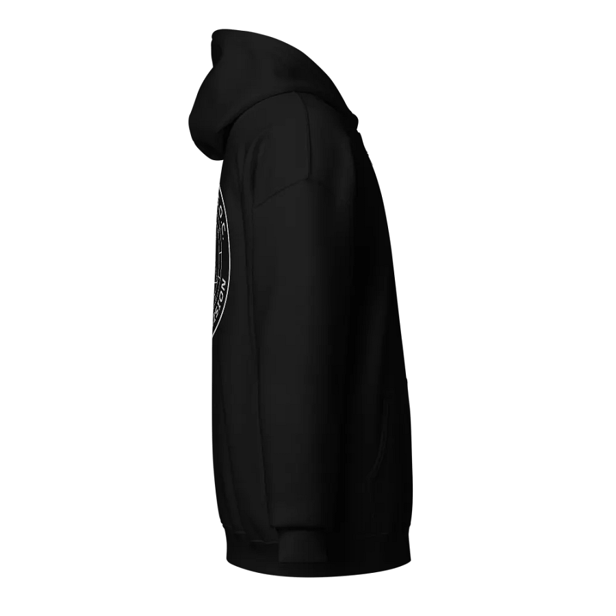Zodiac Division Hoody product image (4)