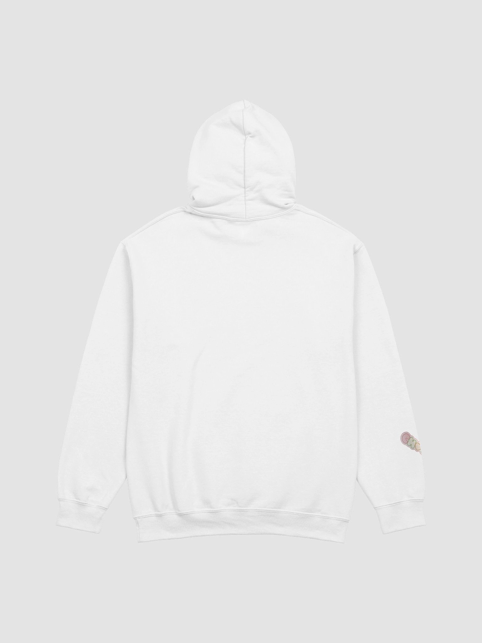 2.0 Hoodie 2-side Print product image (2)