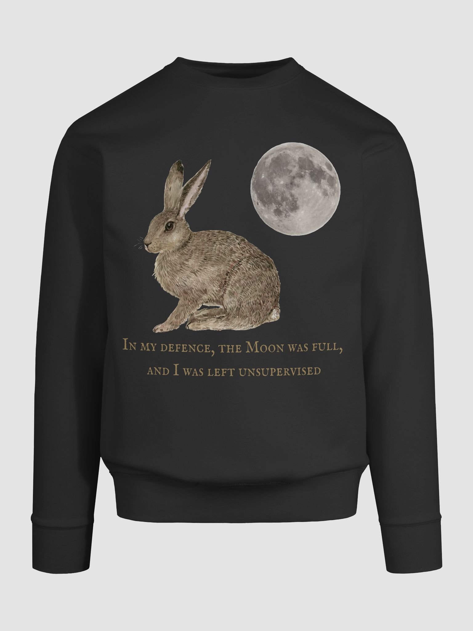 In my defence, the Moon was full... product image (9)