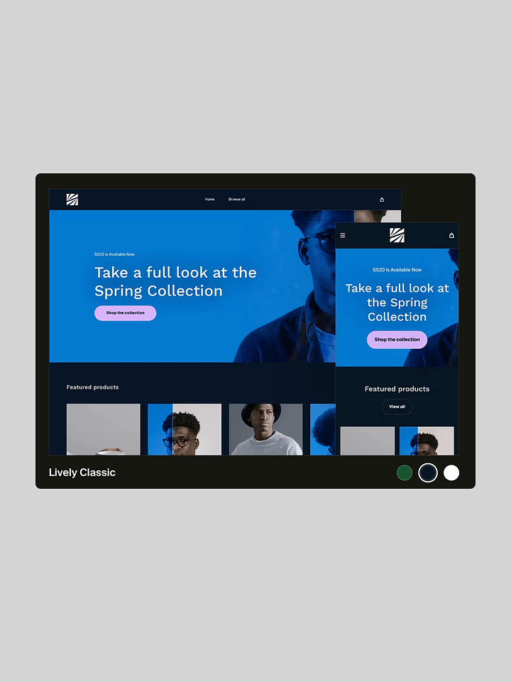 Automated Merch Store That Builds Your Brand — and Your Income product image (2)