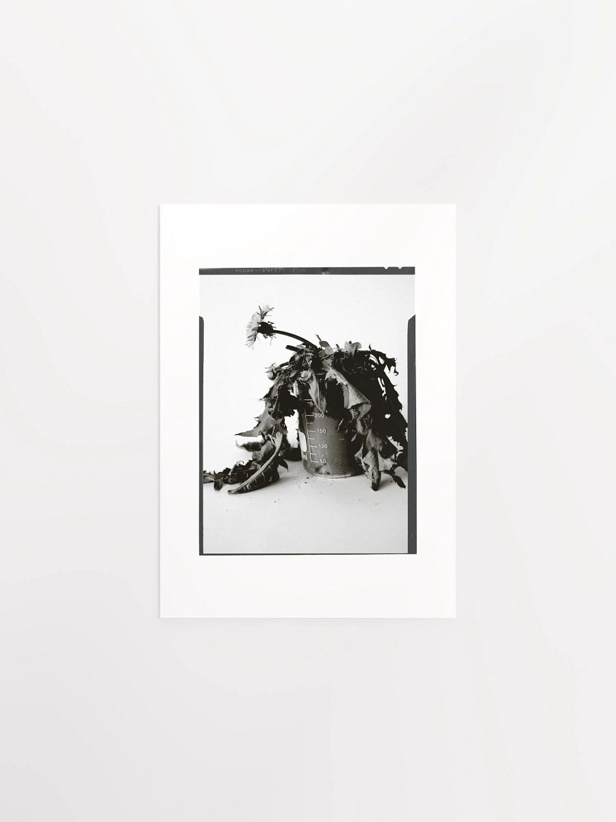 James C'Avedon Print • "Mud Portrait #1" product image (1)