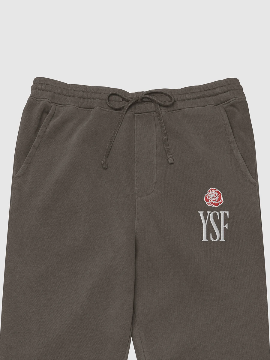 YSF Light Sweatpants product image (2)