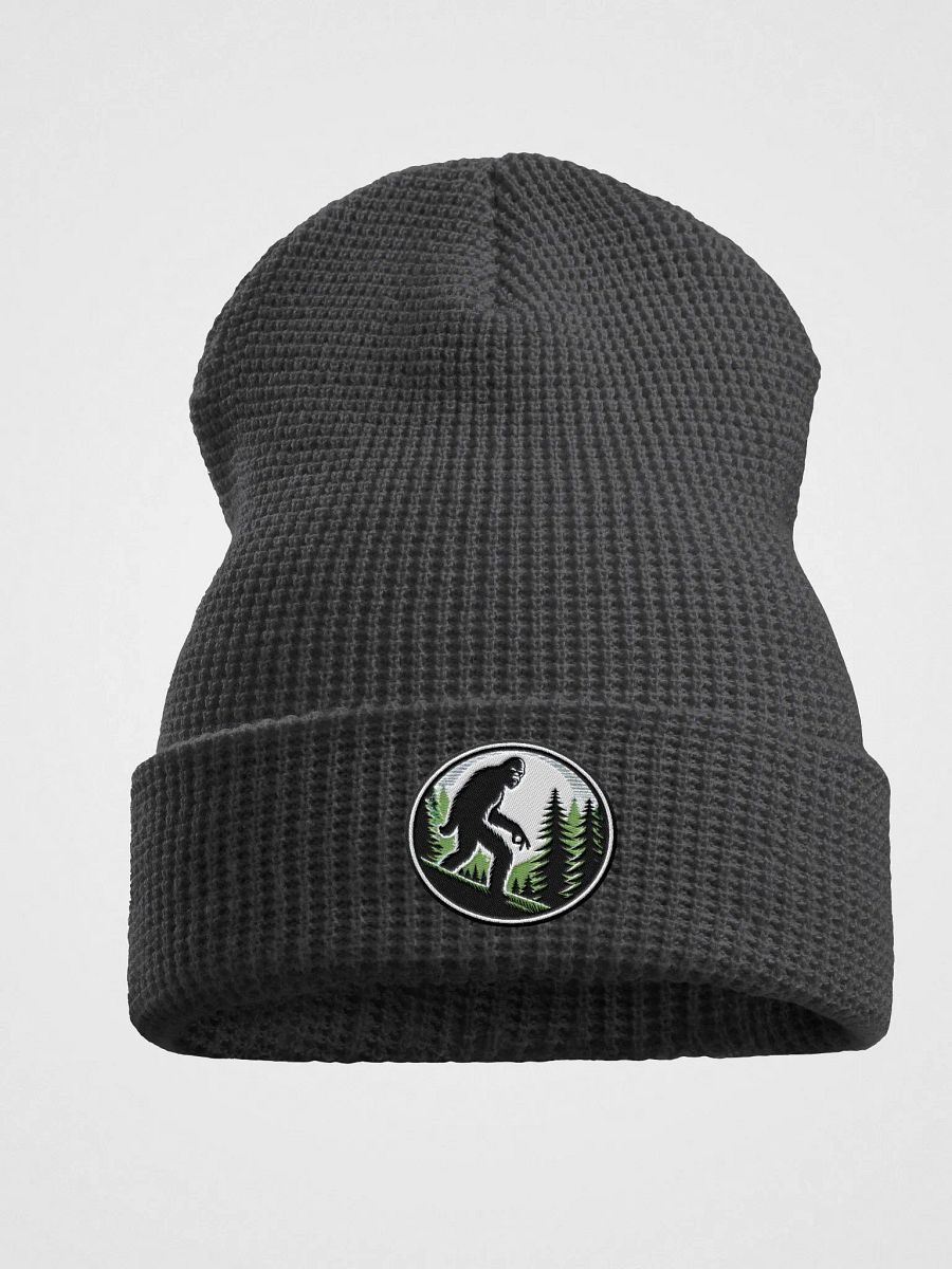 Ball Gazer Beanie product image (1)
