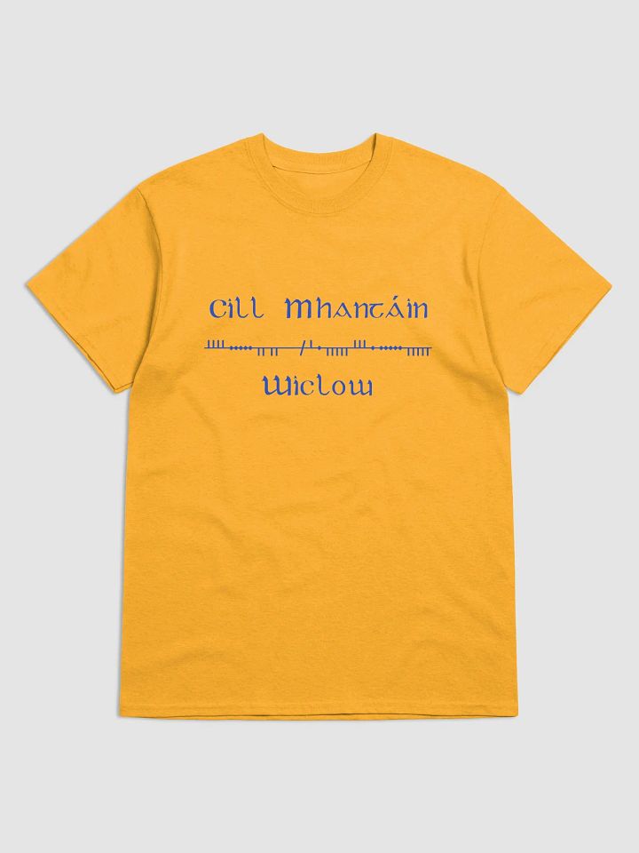 Wicklow/Cill Mhantáin Scholastic style Ogham gold printed T-shirt product image (1)