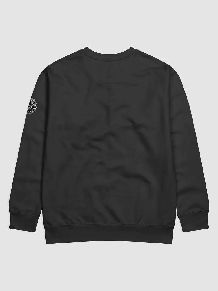 Shadow Smokers Legion Project I.T.S sweater product image (4)