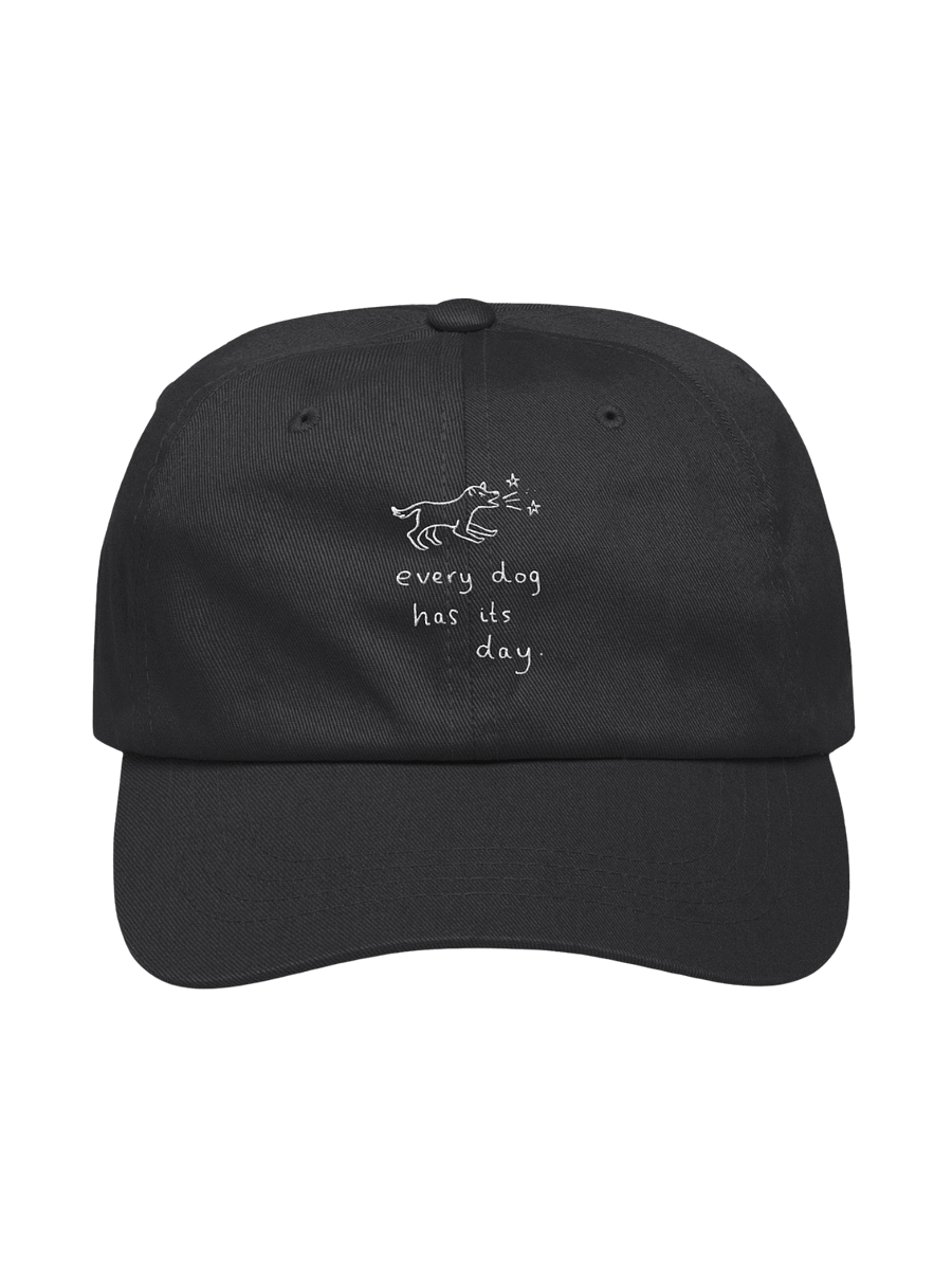 Exclusive Embroidery Cap product image (1)