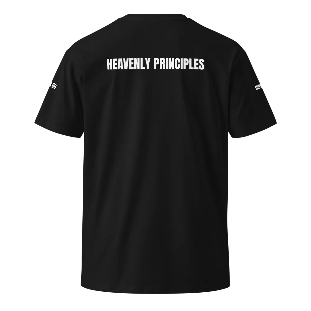 HEAVENLY PRINCIPLE T-Shirt product image (3)