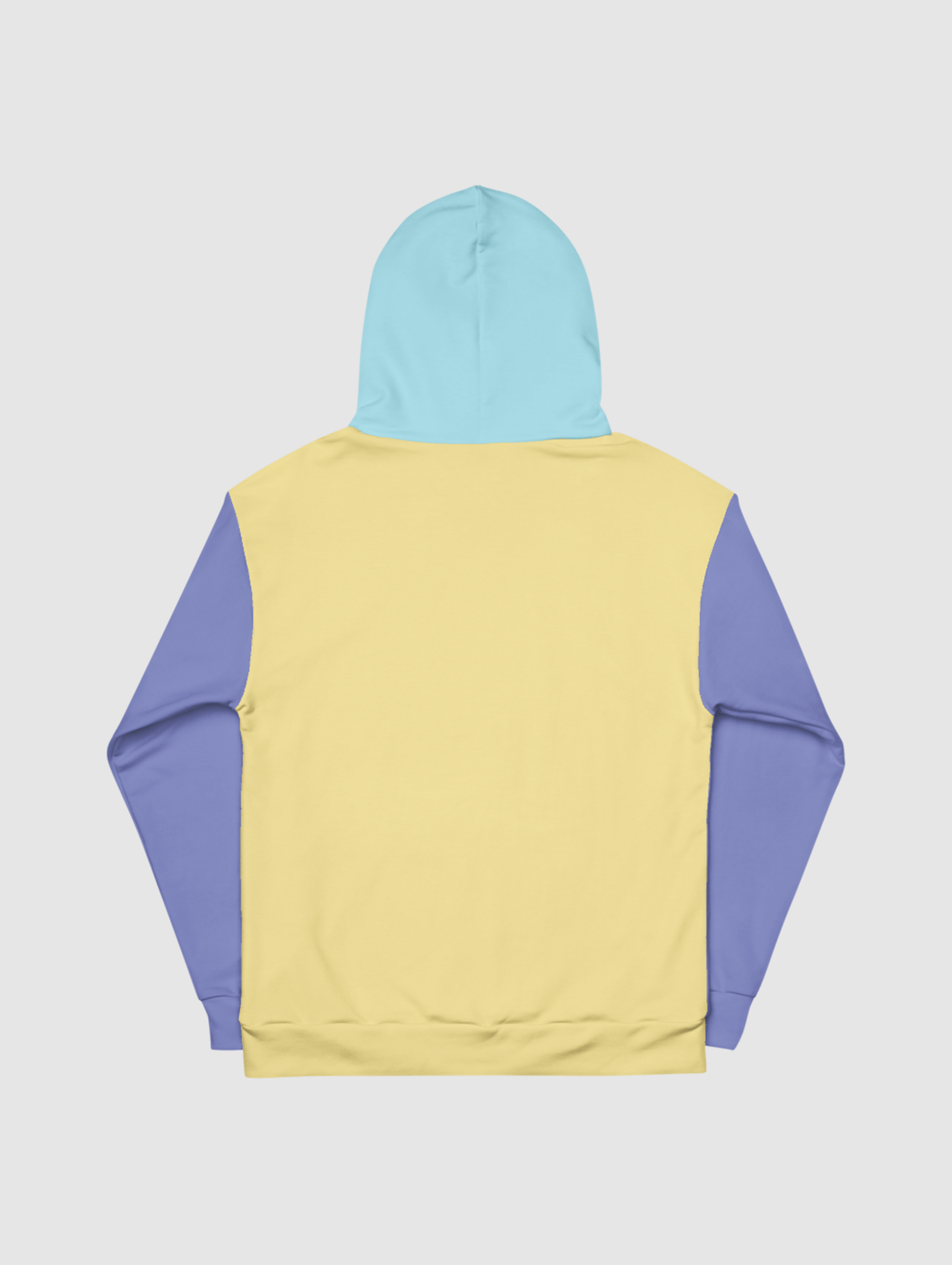 birb pastel hoodie product image (2)