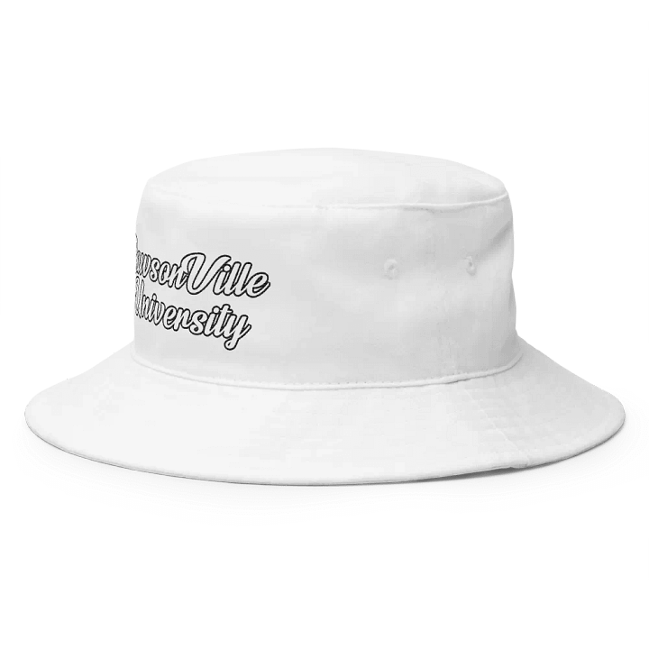 RVU: Embroidered Hat product image (2)
