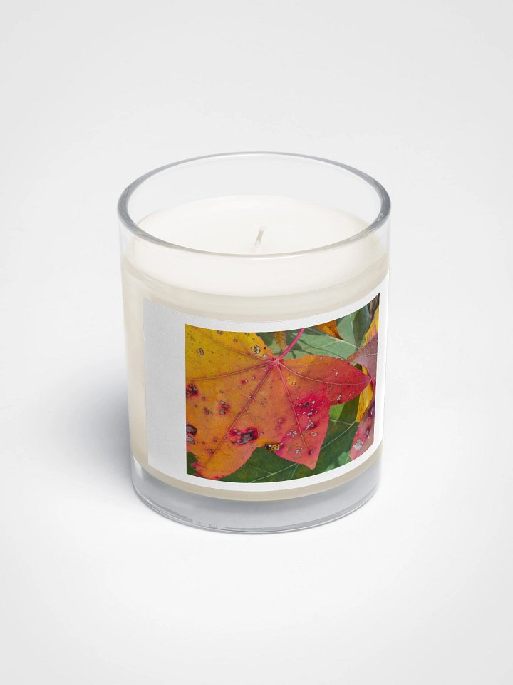 Ladybug in the Fall Soy Wax Candle product image (2)