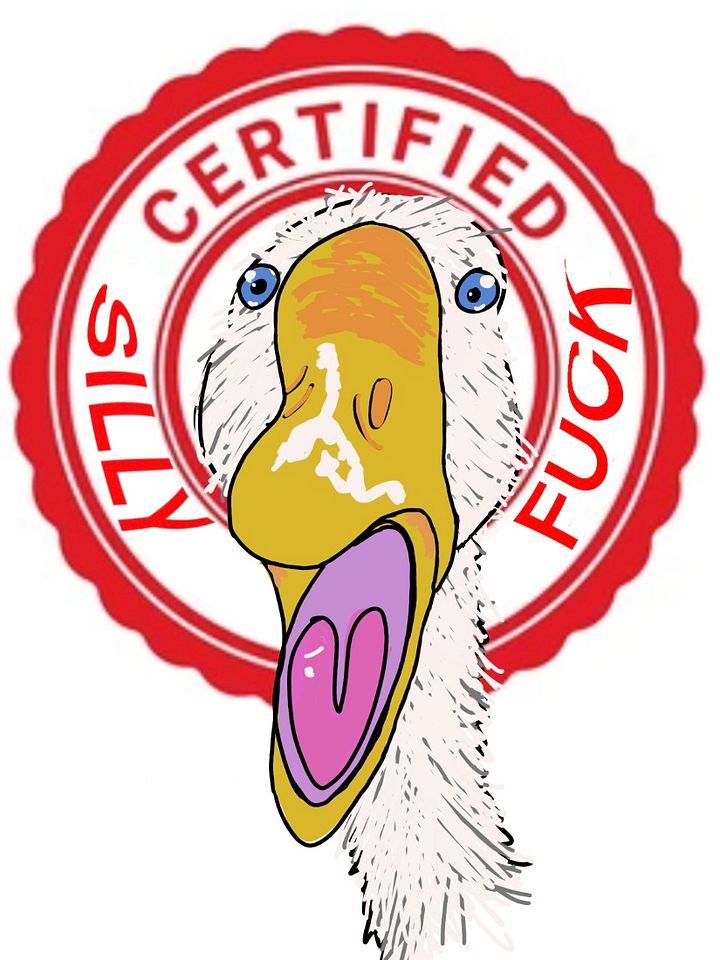 “silly fuck” sticker product image (1)