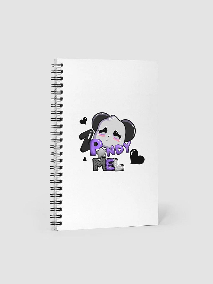 Pandy notebook product image (1)
