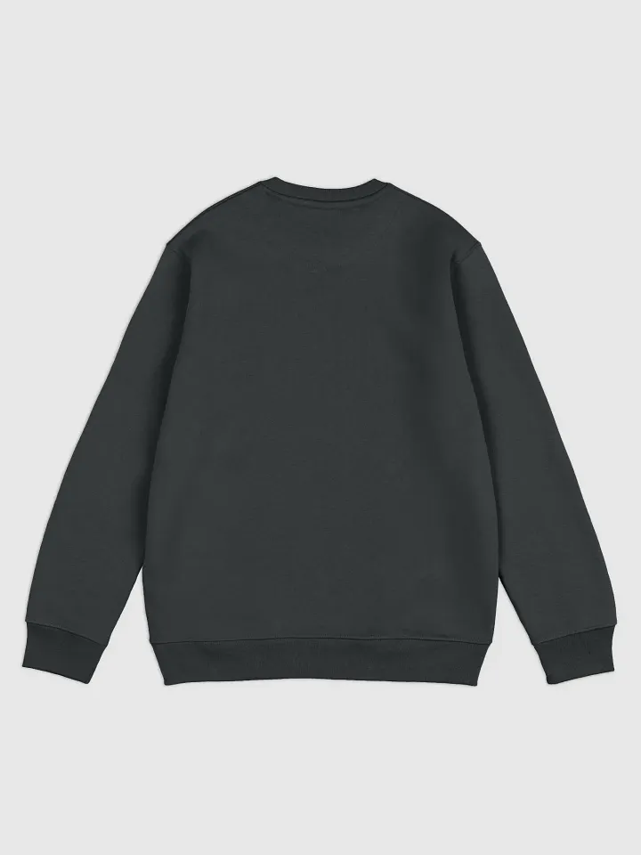 CS SweatShirt product image (6)