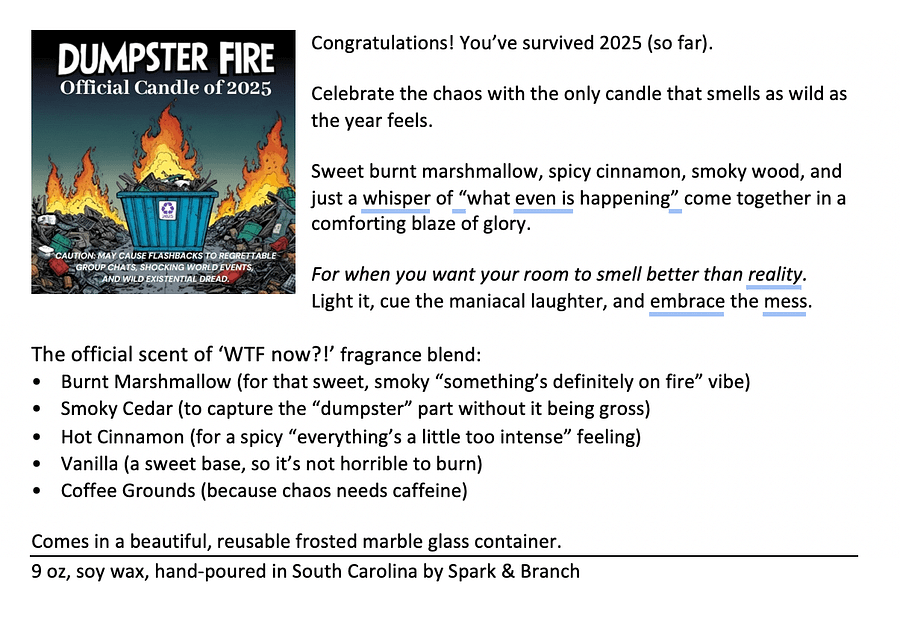 The Official 2025 Dumpster Fire Candle product image (3)