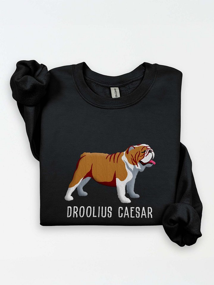 Droolius Caesar Sweatshirt (Embroidered) of an English Bulldog(Tan & White) product image (1)