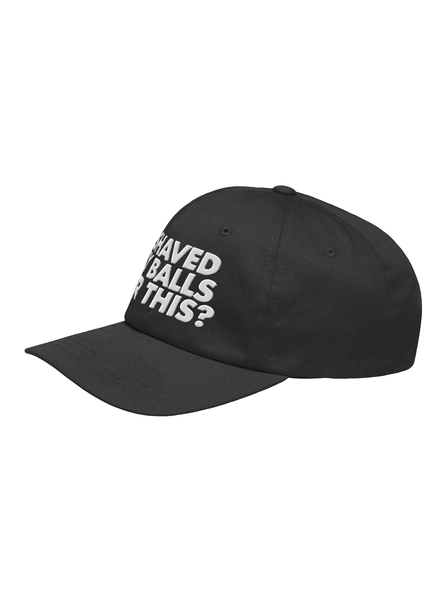 I Shaved My Balls For This? Embroidered Dad Hat product image (22)