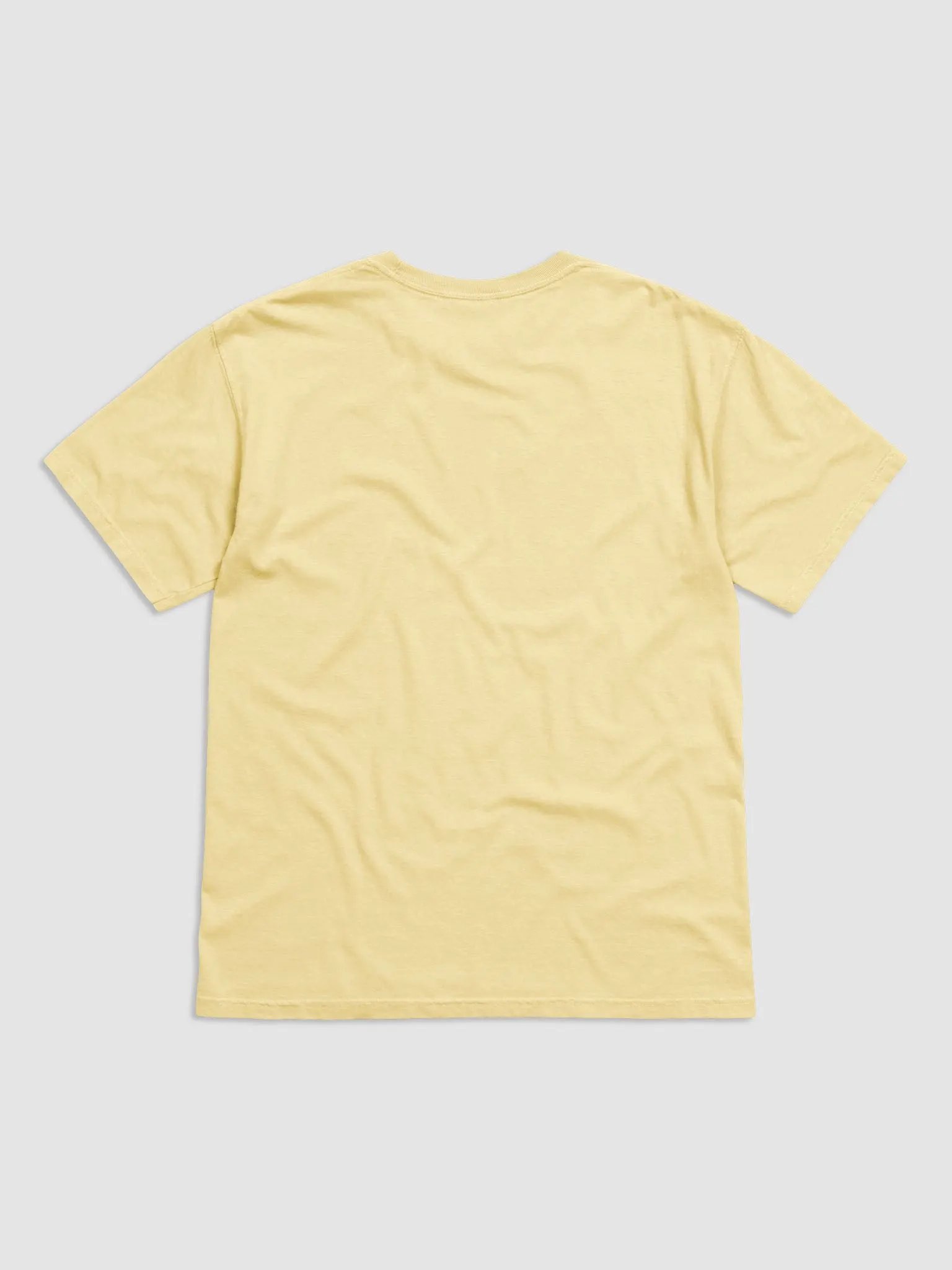 AJNCM Lyrical Distressed Tee product image (5)
