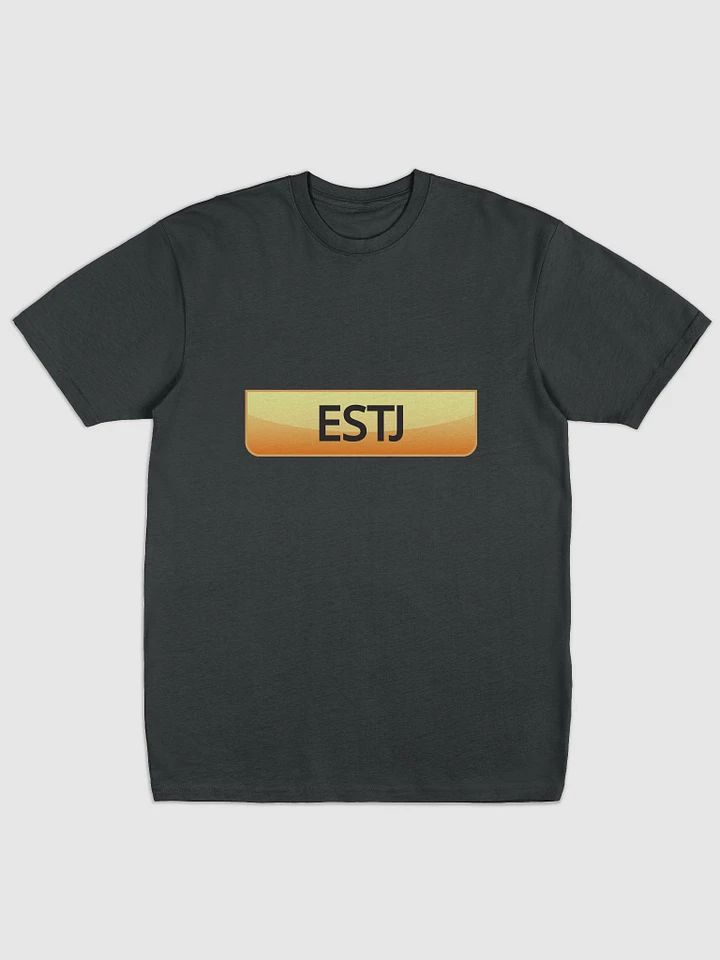 ESTJ T-shirt product image (31)