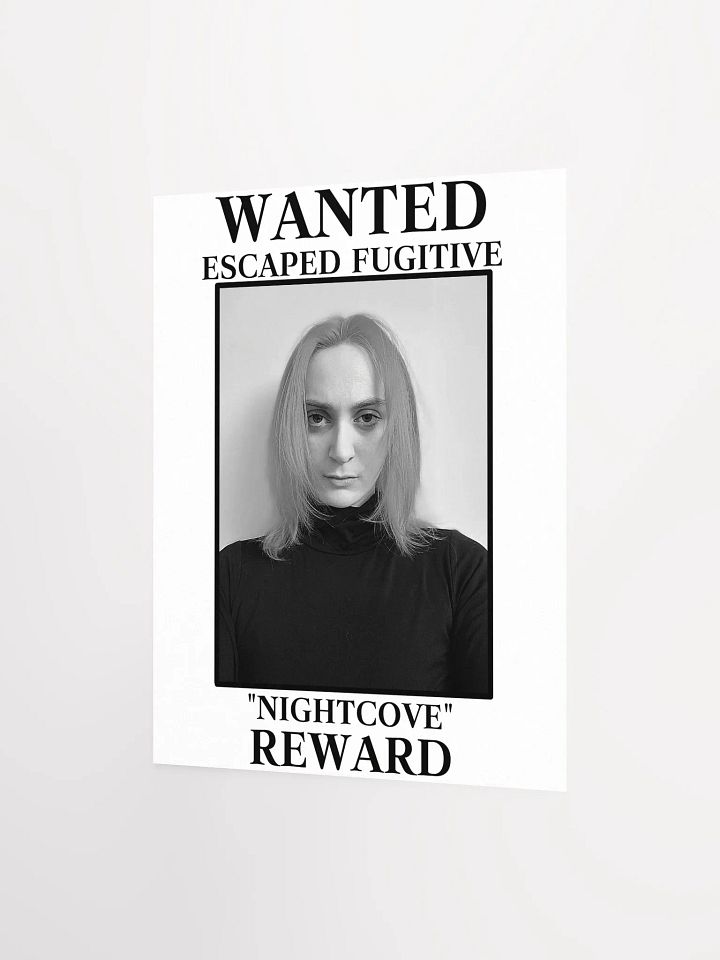 The Villain WANTED Poster product image (2)