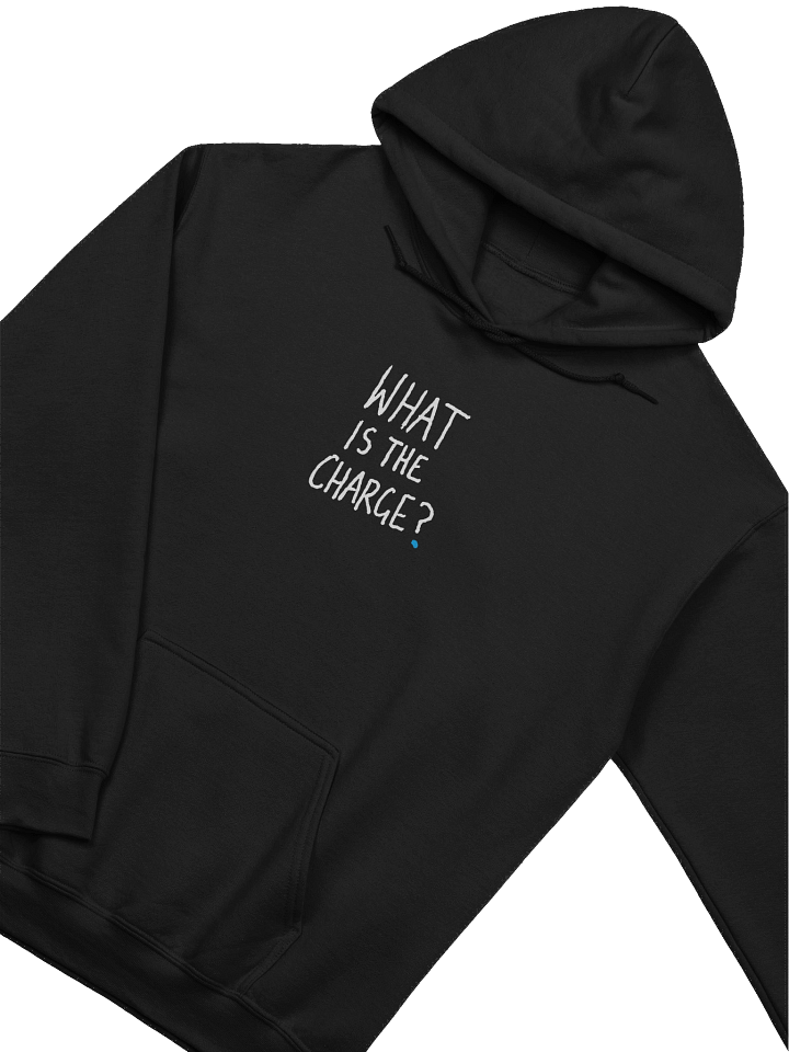 Official Garn 'What Is The Charge' Hoodie product image (1)
