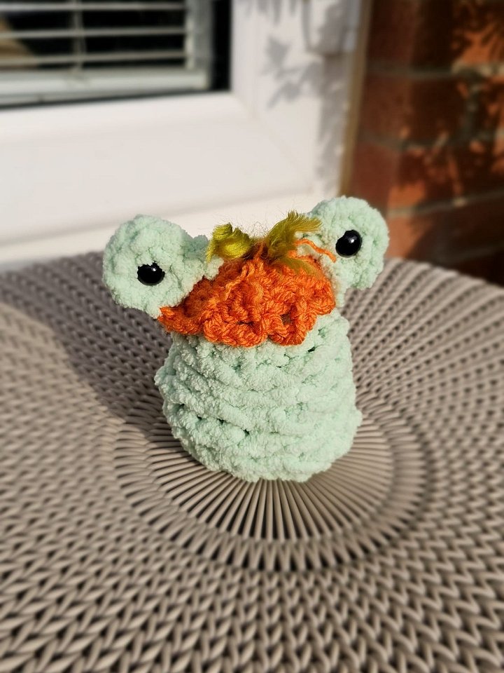 Pumpkin frog 🐸 product image (1)