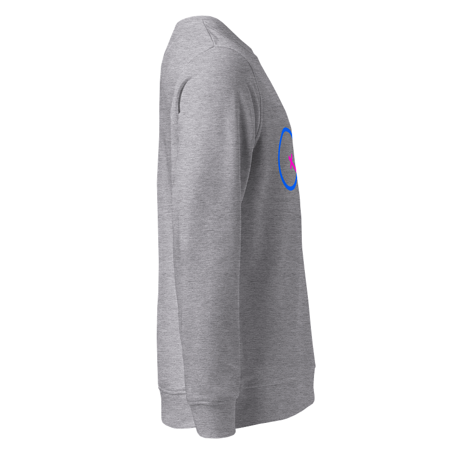 Two Genders Only United Organic Sweatshirt product image (4)