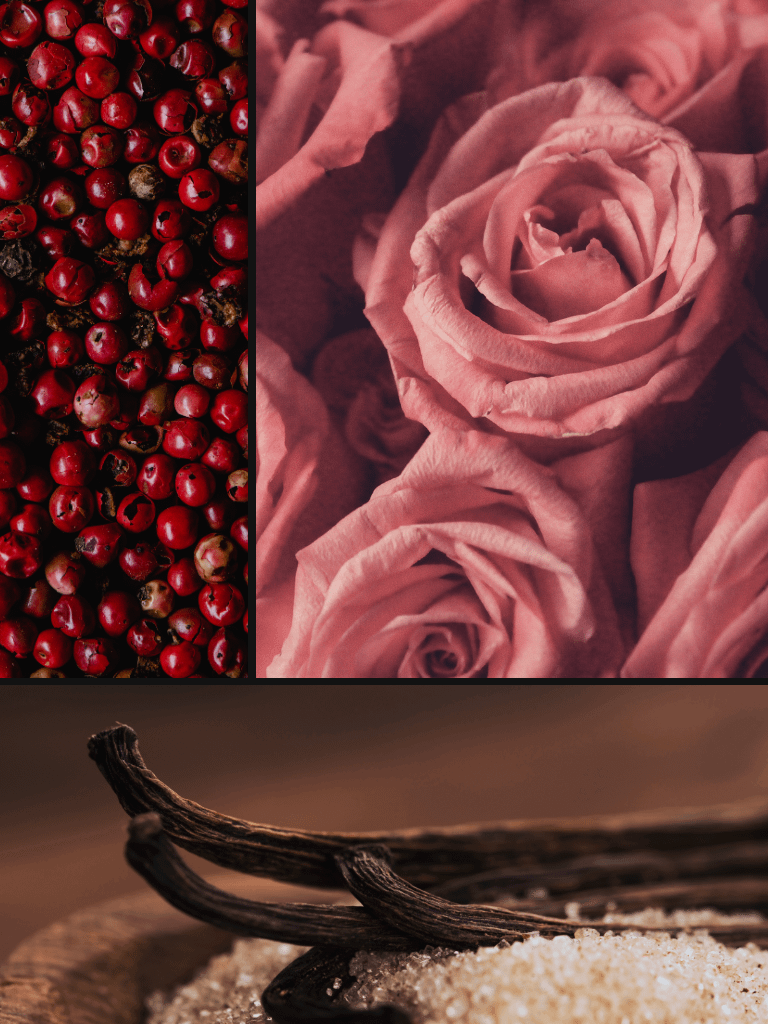 ✨ Limited Edition ✨ Erotidia product image (4)