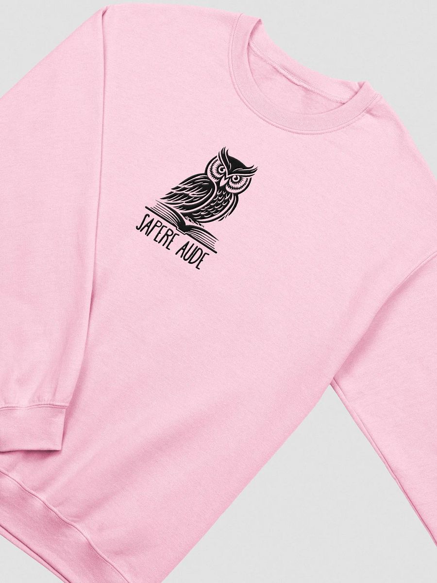 Sapere Aude Sweatshirt product image (3)