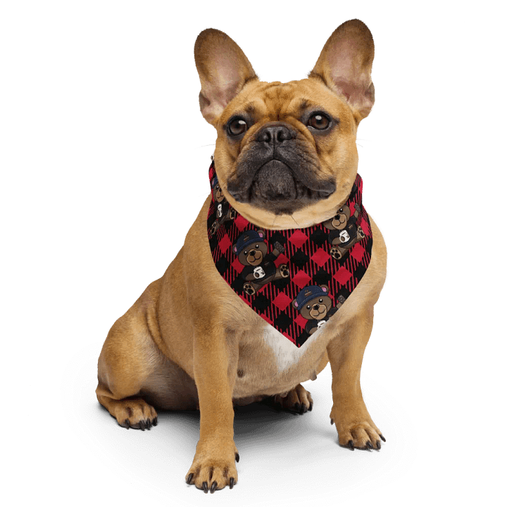 Survivalists Espen Bandana product image (1)