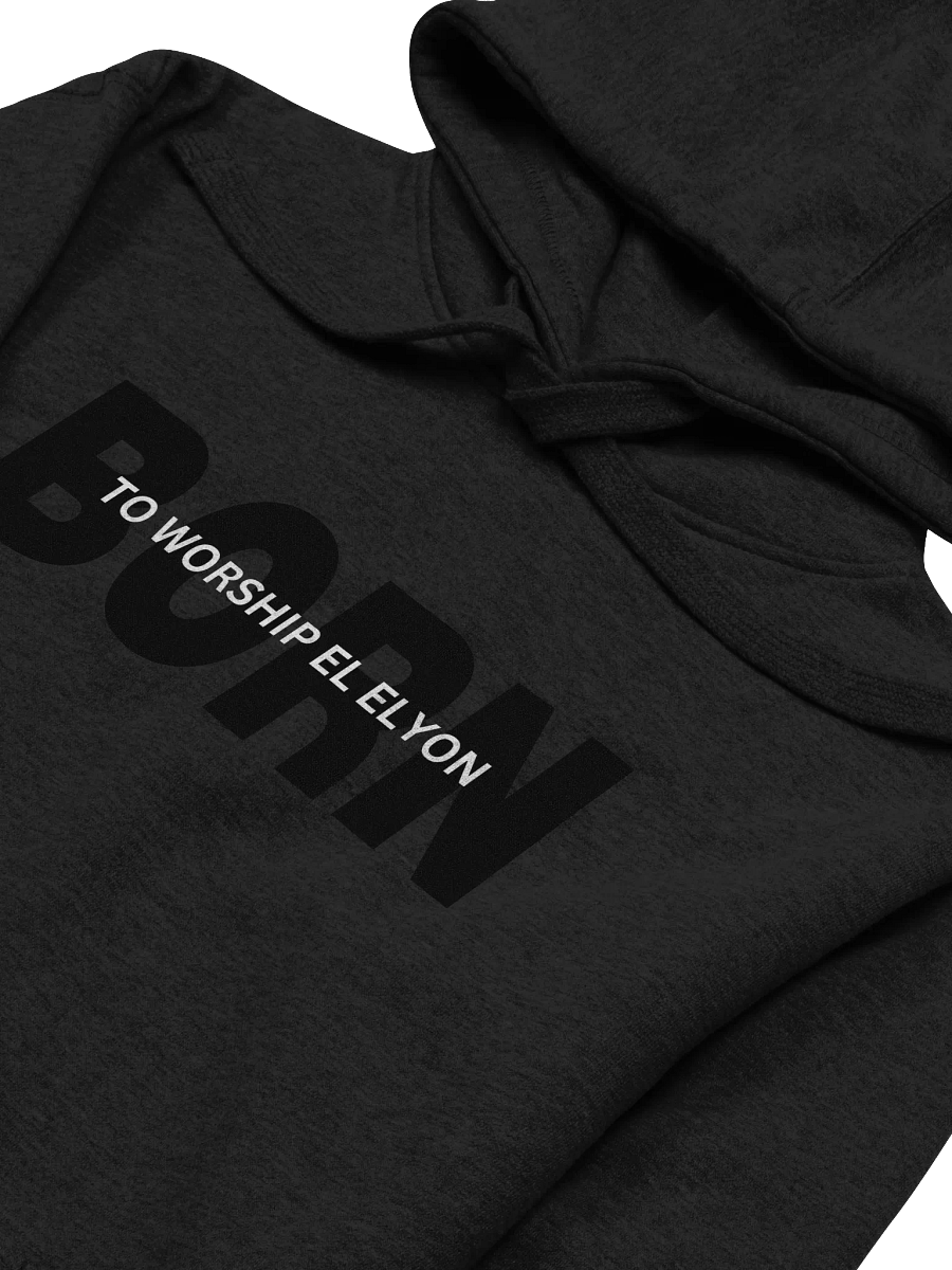 Born to Worship El ELYON Unisex Hoodie product image (5)