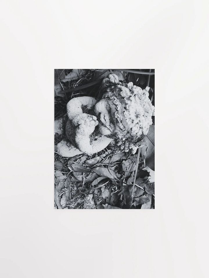 Angel of Decay product image (2)