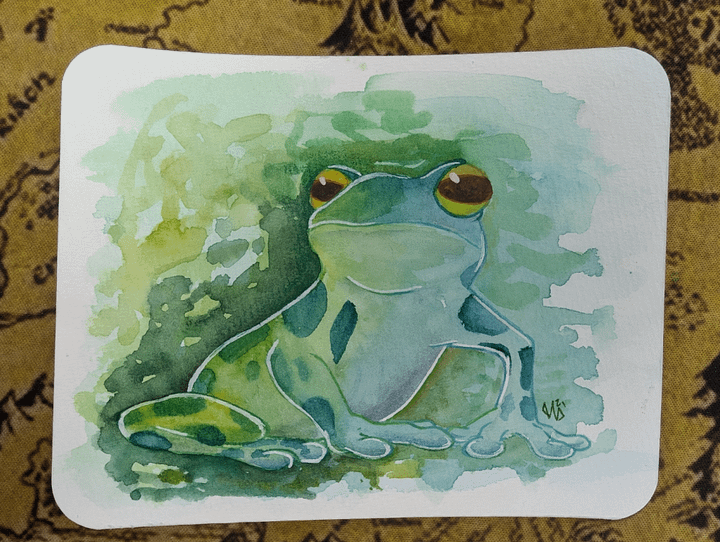 Little Green Frog product image (1)