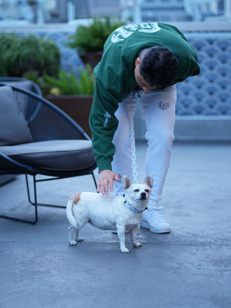 leash product image (4)