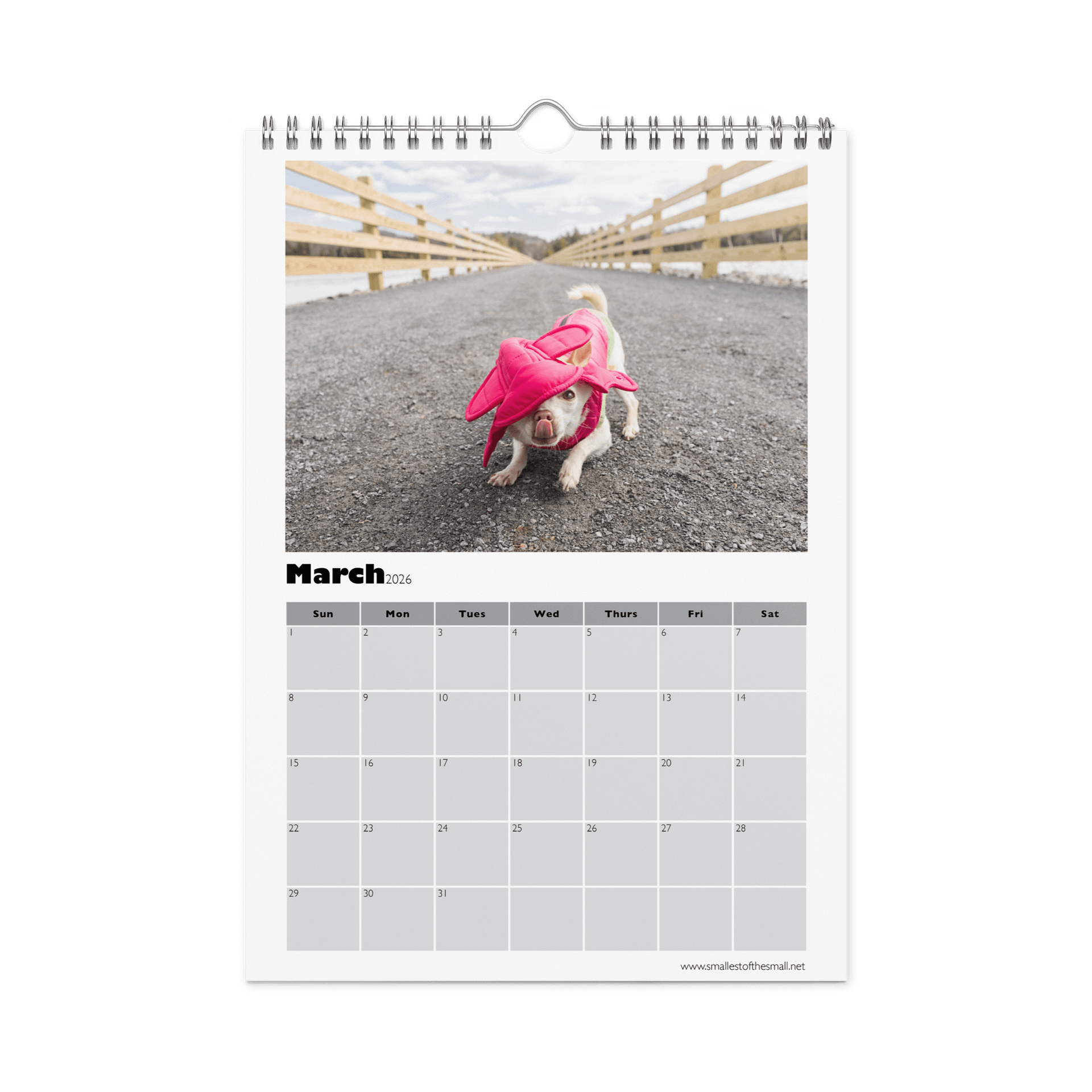 Smallest of the Small 2026 Calendar product image (9)