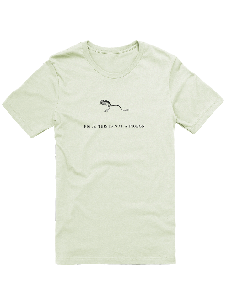 Not A Pigeon-KangarooMouseEdition product image (26)