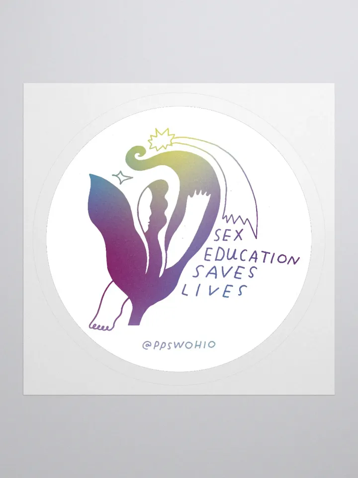 Sex Education Saves Lives product image (1)