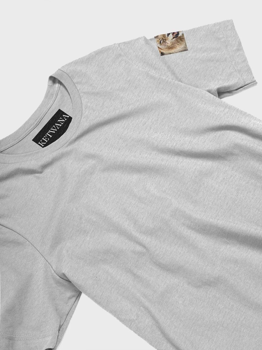 Rise with the Pride: Graphic Tee for the Unconquerable product image (25)