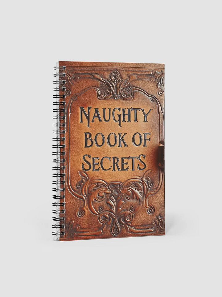 the Naughty Book Of Secrets product image (1)
