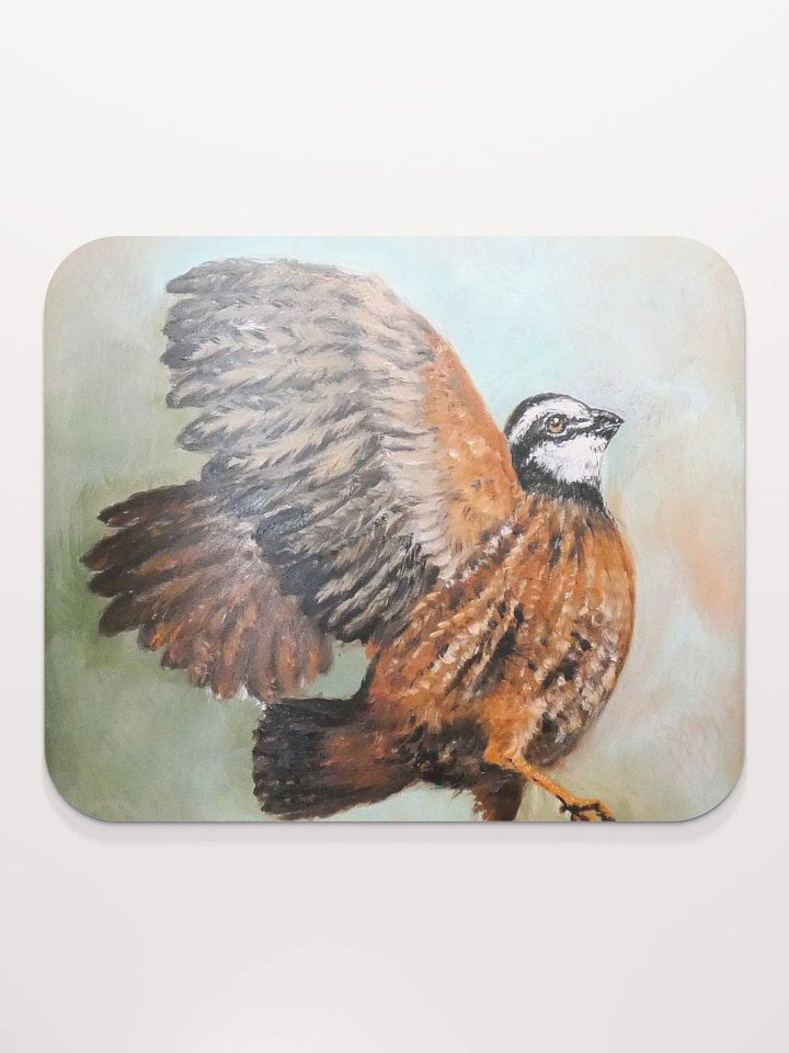 Bobwhite quail product image (2)