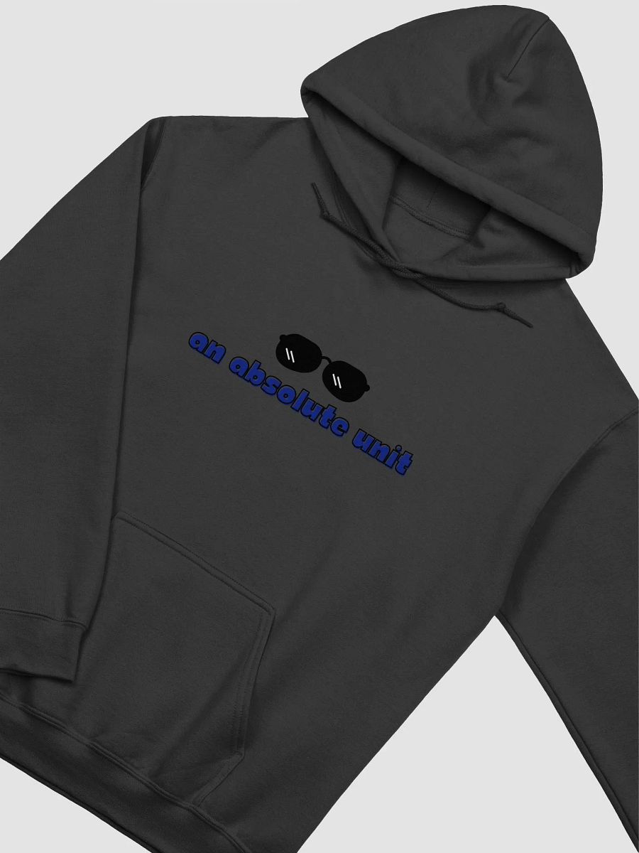 An Absolute Unit Hoodie (Unisex) product image (33)