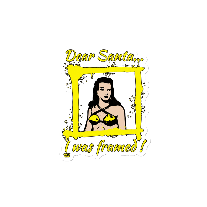 DEAR SANTA, I WAS FRAMED! product image (2)