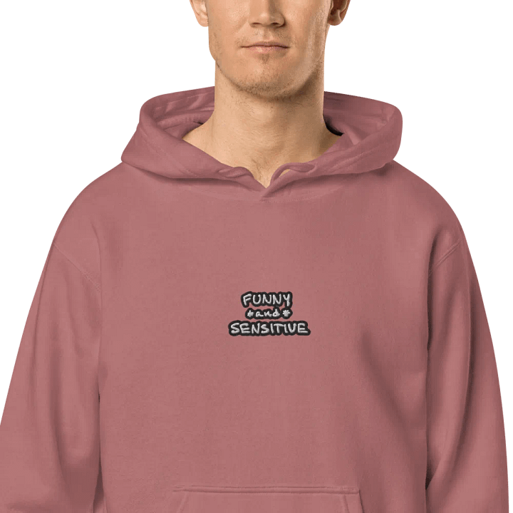 FUNNY *and* SENSITIVE (bubble design 2) embroidered pigment hoodie product image (1)