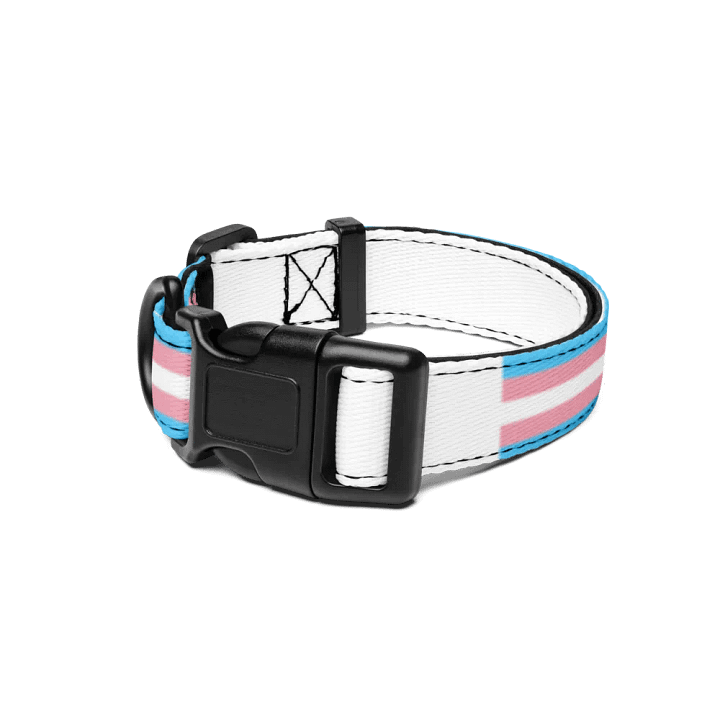 Trans Rights or I Bites Collar product image (1)