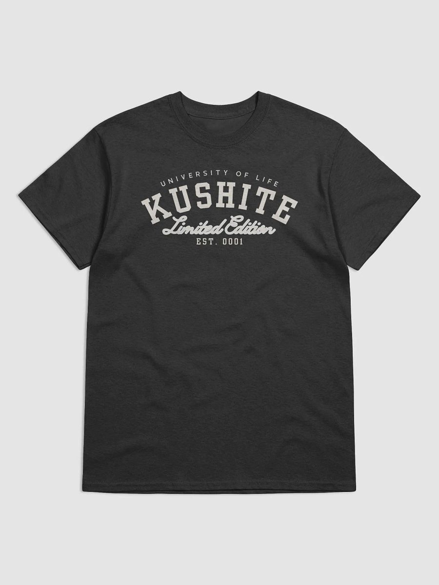 Kushite University product image (1)