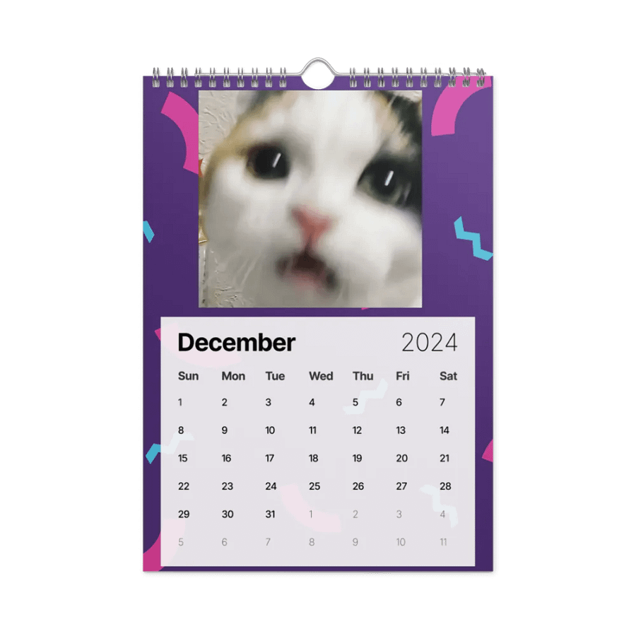 Wall Calendar (2024): Meme Cats product image (6)