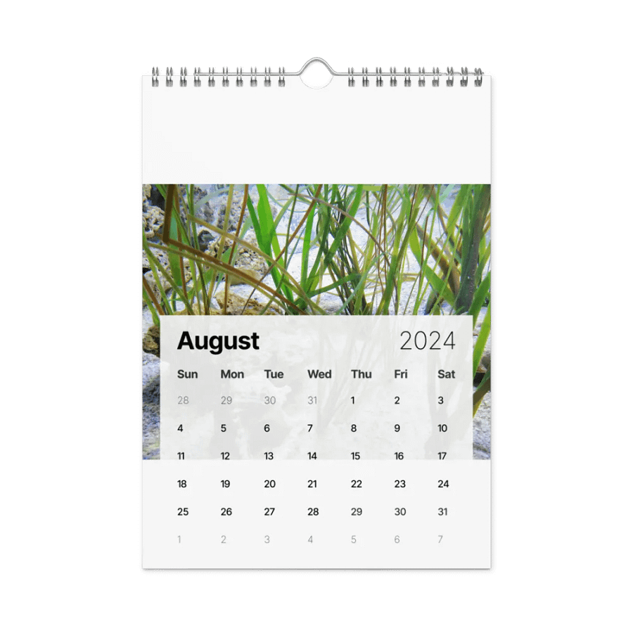 new years product image (5)