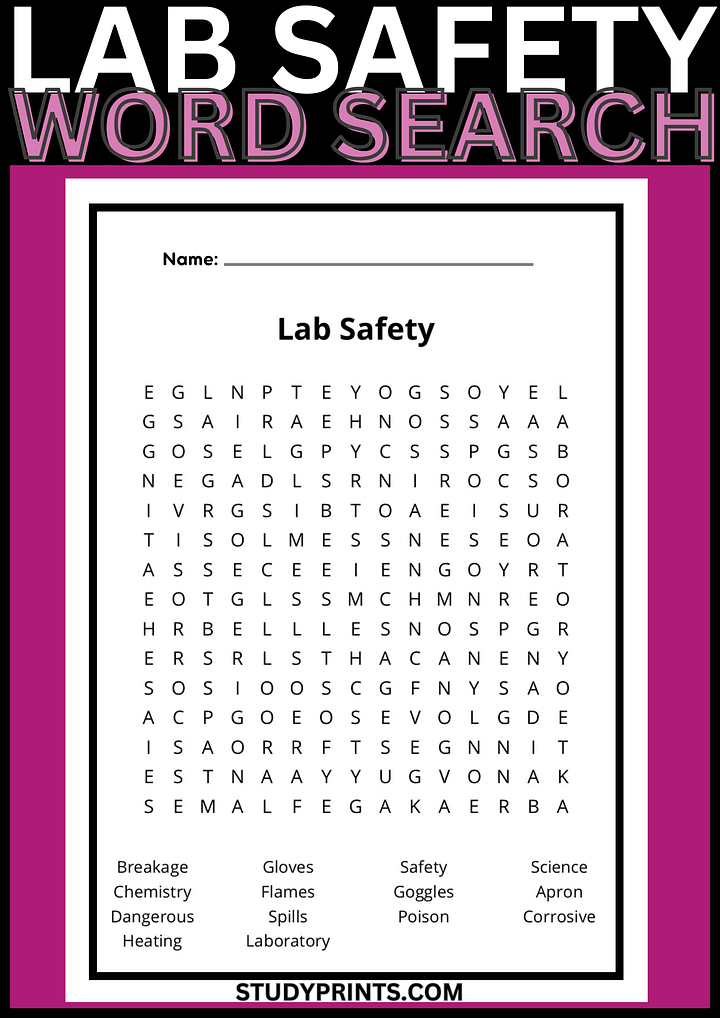 Lab Safety Word Search Printable product image (1)