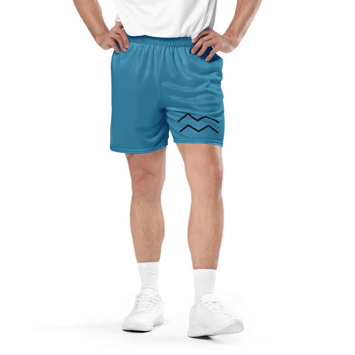Eco-Friendly Aquarius Mesh Shorts product image (1)