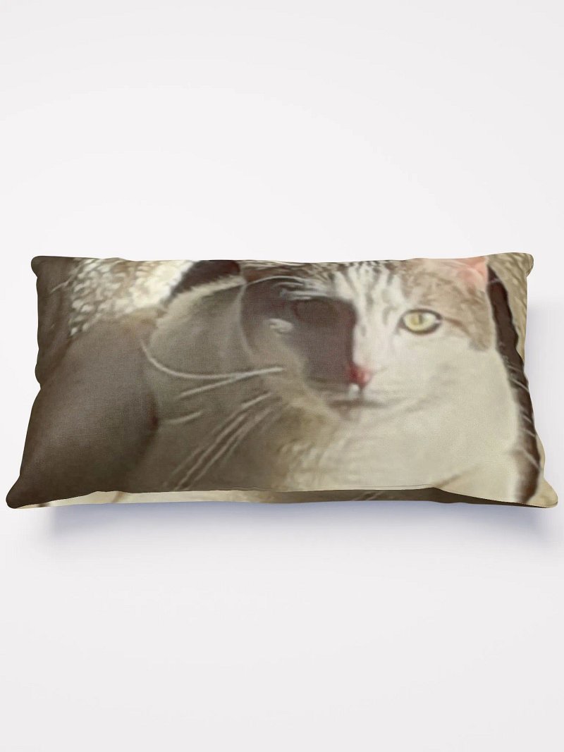 Cat Sunning